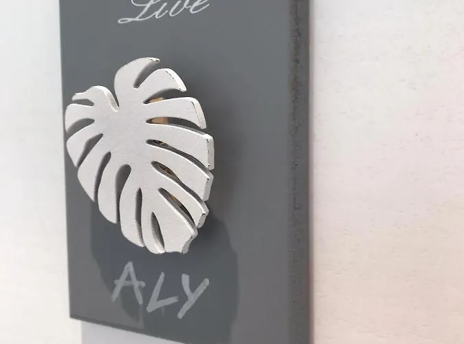 Aly&emy 住宿加早餐酒店